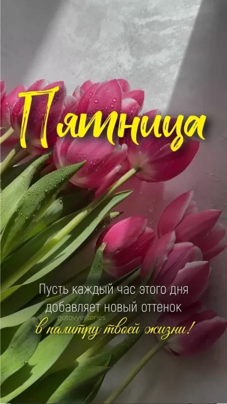 Картинки "Доброе утро пятницы" красивые и прикольные. Красивые картинки "Доброго утра пятницы" 