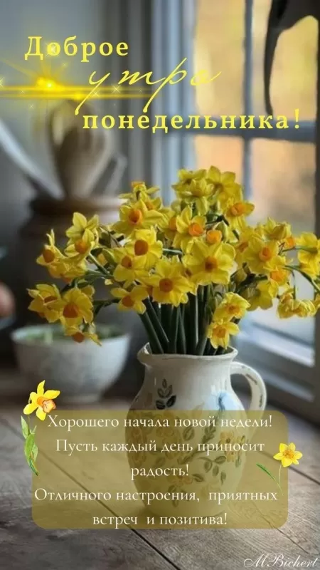 Картинки Доброе утро понедельника. Красивые картинки Доброе утро понедельника