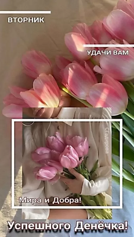 Картинки Доброе утро вторника. Красивые картинки Доброе утро вторника