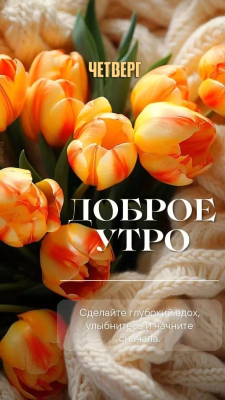 Картинки Доброе утро четверга. Картинки с Добрым уром четверга красивые весенние