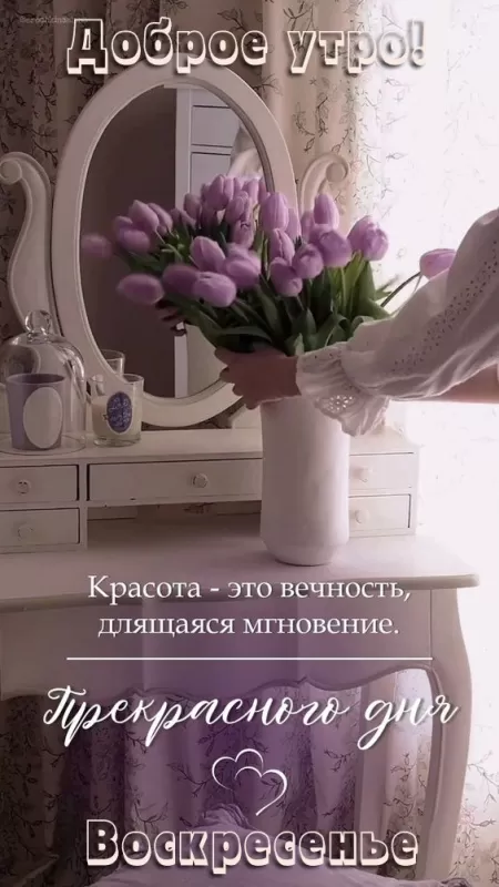 Картинки с Добрым утром воскресенья. Красивые картинки с Добрым утром воскресенья