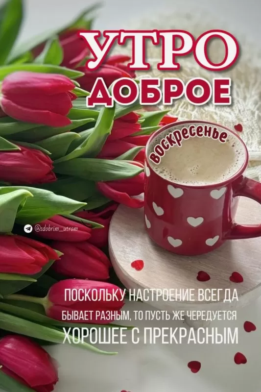 Картинки с Добрым утром воскресенья. Красивые картинки с Добрым утром воскресенья
