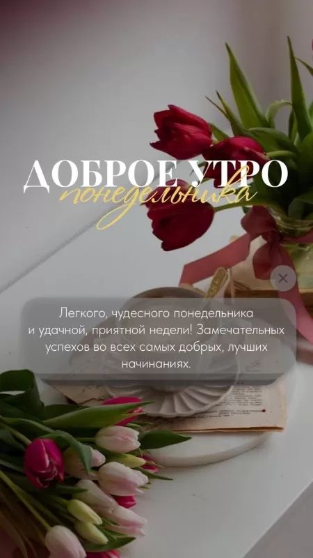 Картинки Доброе утро понедельника. Красивые картинки Доброе утро понедельника