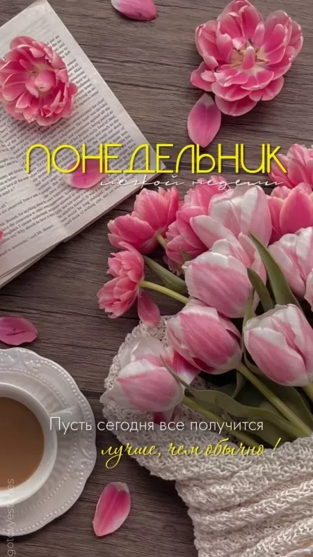 Картинки Доброе утро понедельника. Красивые картинки Доброе утро понедельника