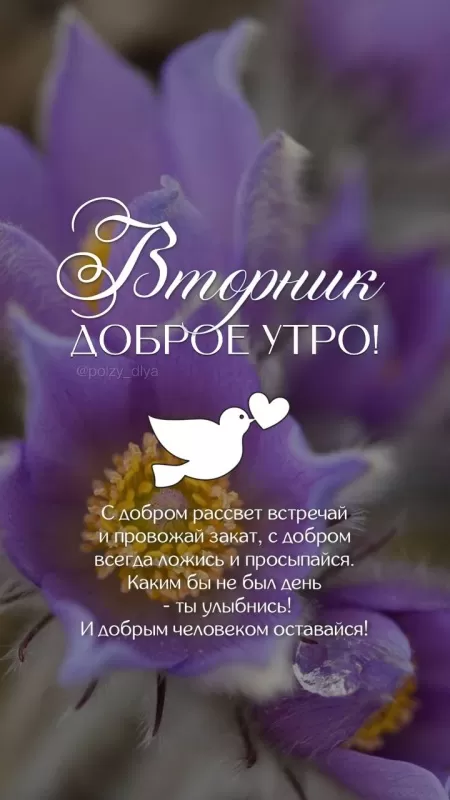 Картинки Доброе утро вторника. Красивые картинки Доброе утро вторника