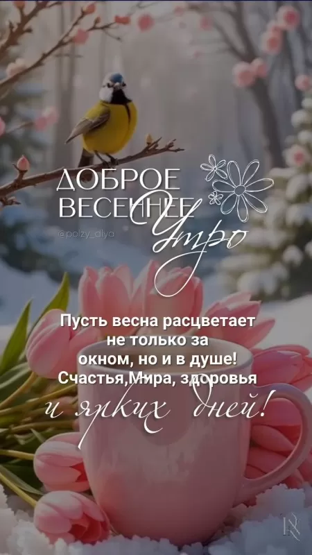 Картинки Доброе утро понедельника. Красивые картинки Доброе утро понедельника