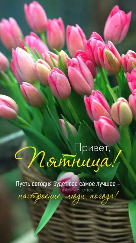 Картинки "Доброе утро пятницы" красивые и прикольные. Красивые картинки "Доброго утра пятницы" 