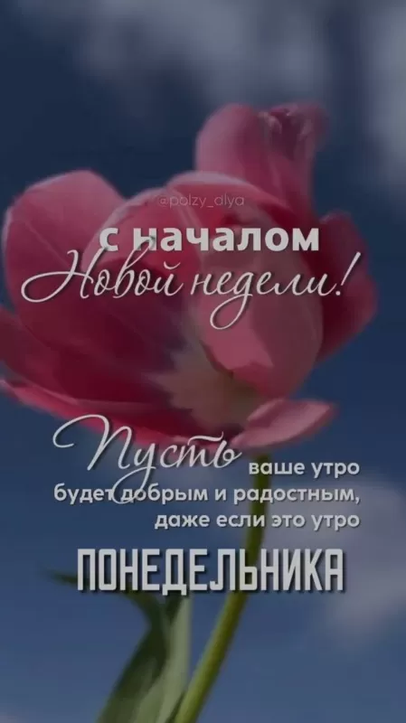 Картинки Доброе утро понедельника. Красивые картинки Доброе утро понедельника