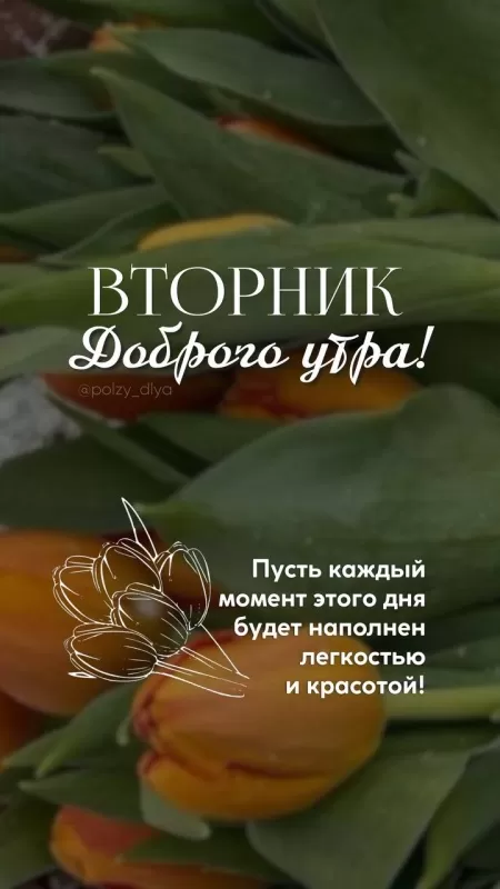 Картинки Доброе утро вторника. Красивые картинки Доброе утро вторника