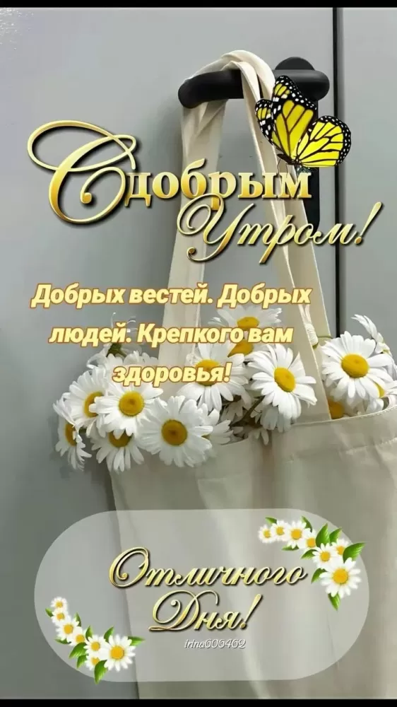 Картинки с Добрым летним утром 2025. Красивые картинки Доброе летнее утро