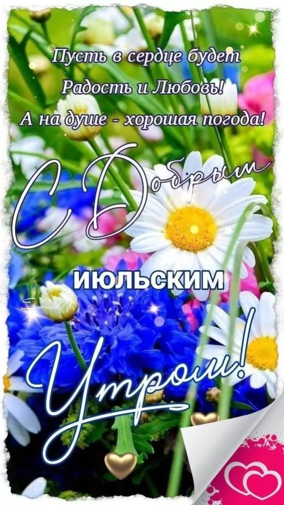 Картинки с Добрым летним утром 2025. Красивые картинки Доброе летнее утро