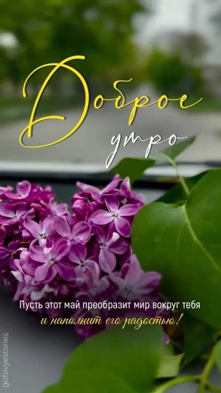 Картинки Доброе майское утро
