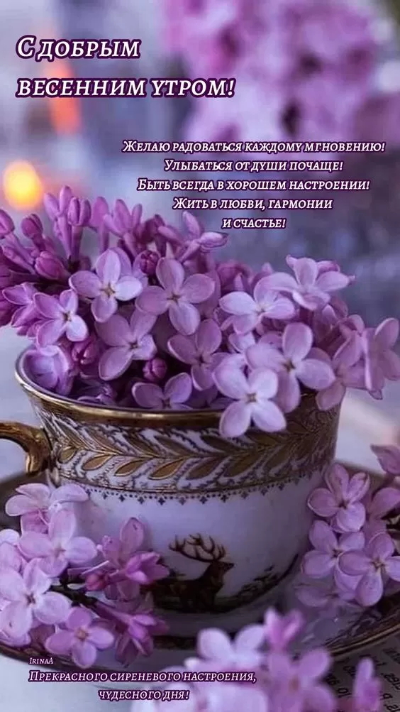 Картинки Доброе майское утро. Доброе майское утро - картинки с пожеланиями