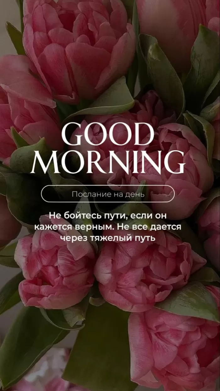 Картинки Доброе майское утро. Красивые картинки Доброе майское утро