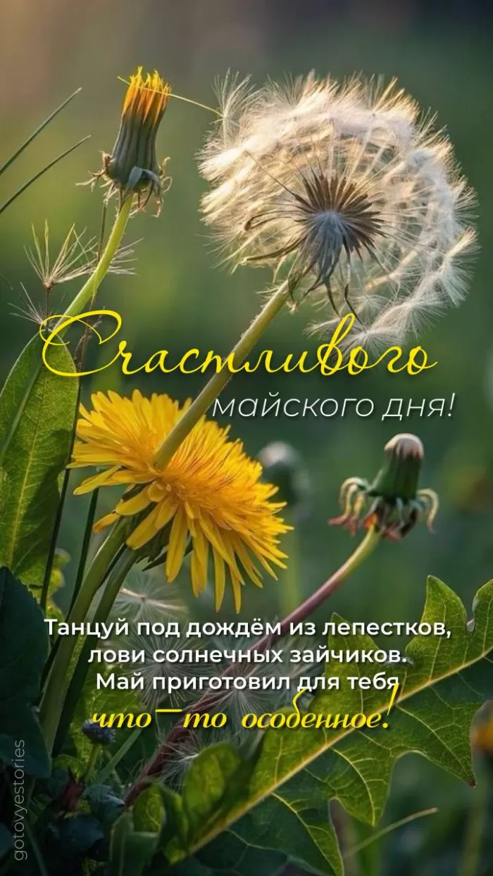 Картинки Доброе майское утро. Доброе майское утро - картинки с пожеланиями
