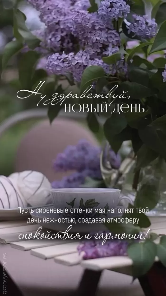 Картинки Доброе майское утро. Доброе майское утро - картинки с пожеланиями