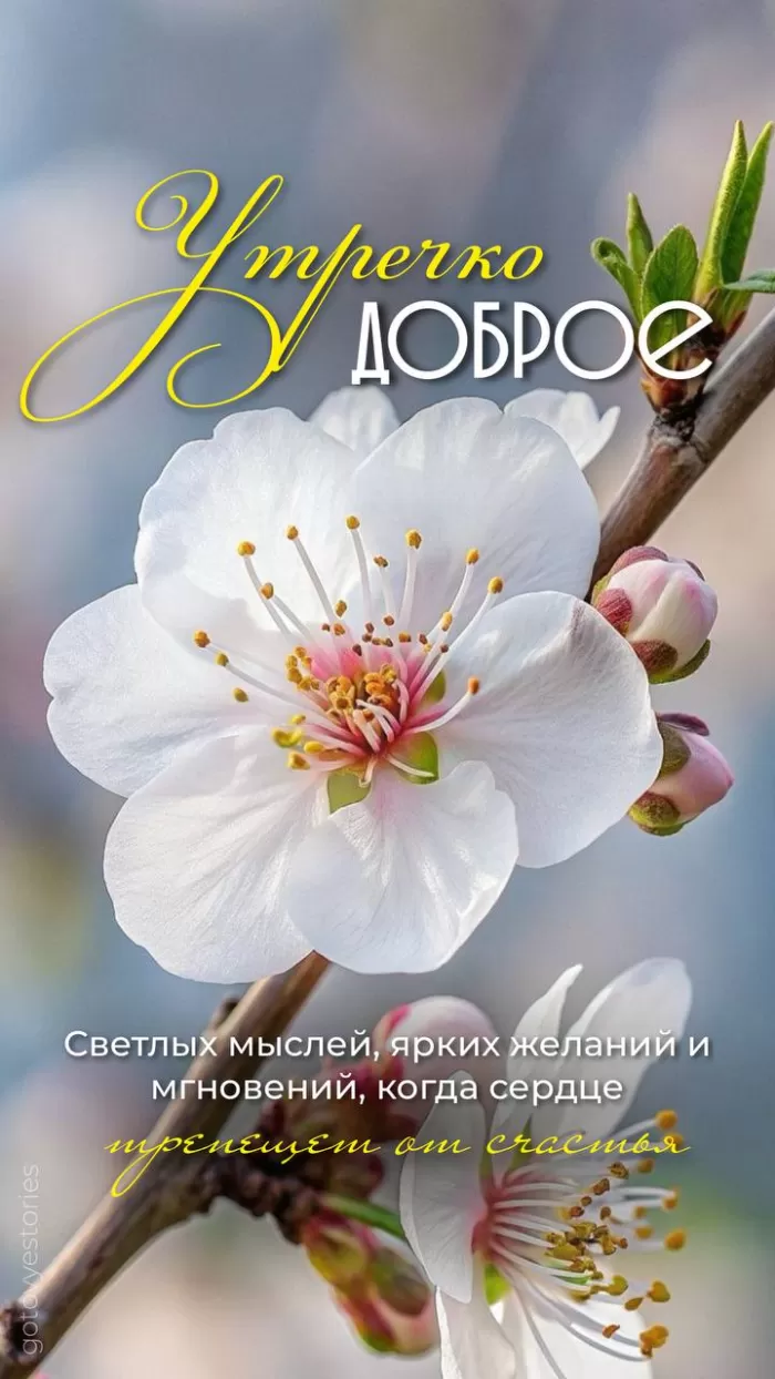Картинки Доброе майское утро. Красивые картинки Доброе майское утро