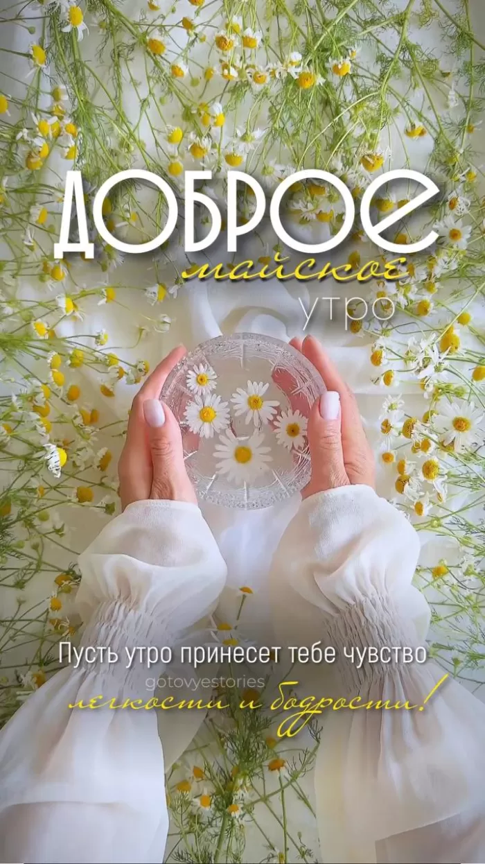 Картинки Доброе майское утро. Красивые картинки Доброе майское утро