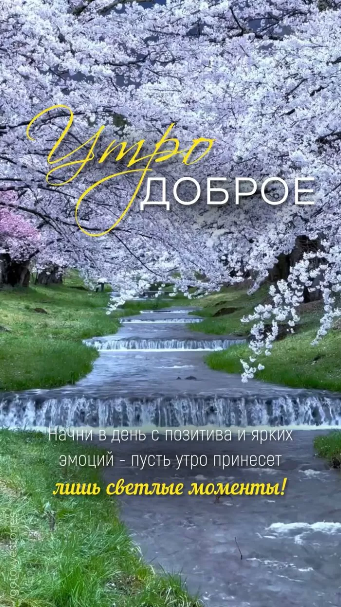 Картинки Доброе майское утро. Доброе майское утро - картинки с пожеланиями