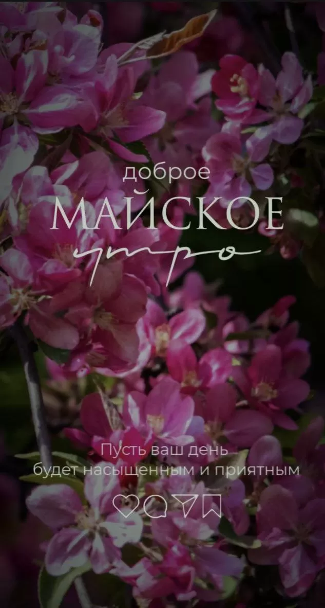 Картинки Доброе майское утро. Доброе майское утро - картинки с пожеланиями