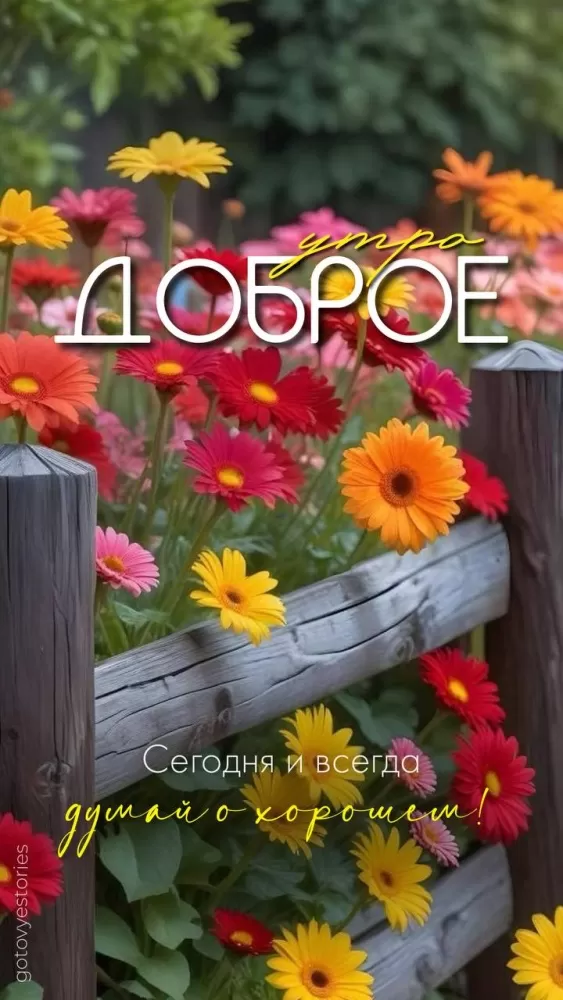 Картинки с Добрым летним утром 2025. Красивые картинки Доброе летнее утро