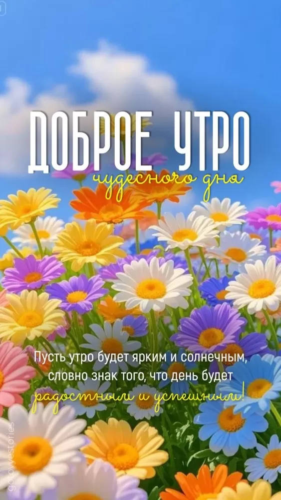 Картинки с Добрым летним утром 2025. Красивые картинки Доброе летнее утро
