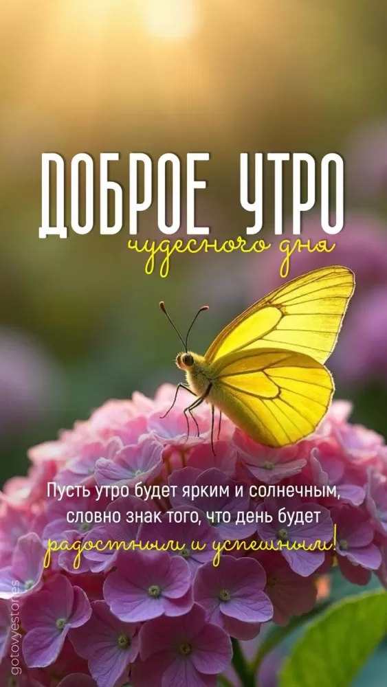 Картинки с Добрым летним утром 2025. Красивые картинки Доброе летнее утро