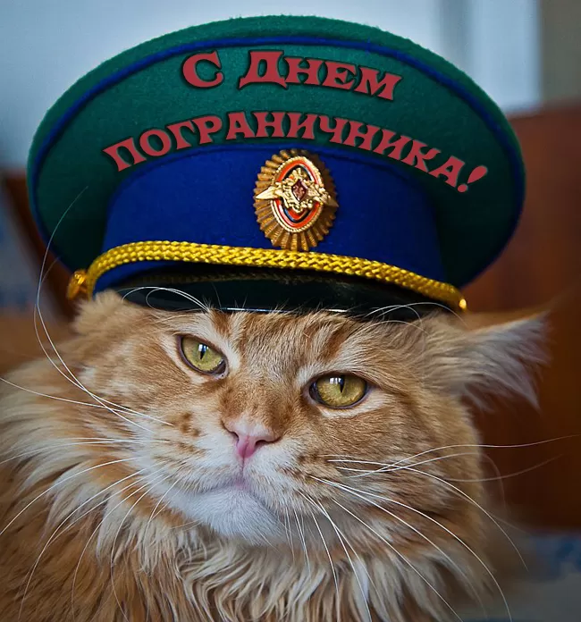 Открытки с Днем пограничника. Прикольные открытки на День пограничника