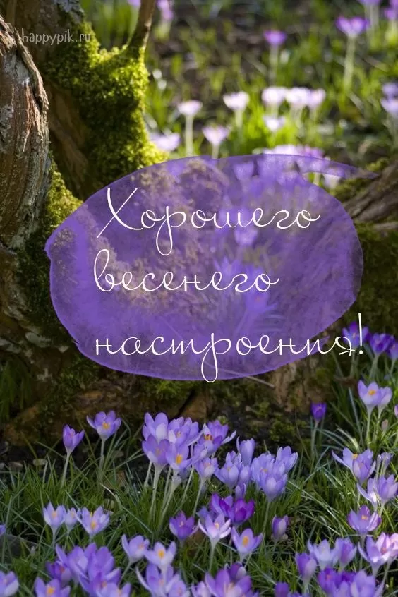 Картинки Доброе майское утро. Доброе майское утро - картинки с пожеланиями