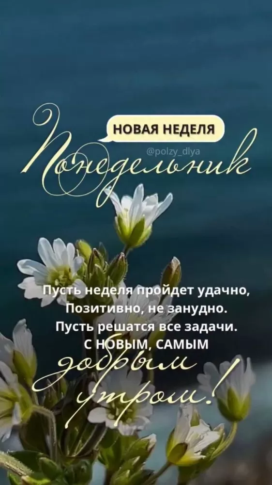 Картинки "Доброе утро понедельника". Доброе утро понедельника - картинки летние