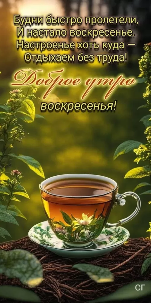 Картинки "Доброе утро понедельника". Доброе утро понедельника - картинки летние