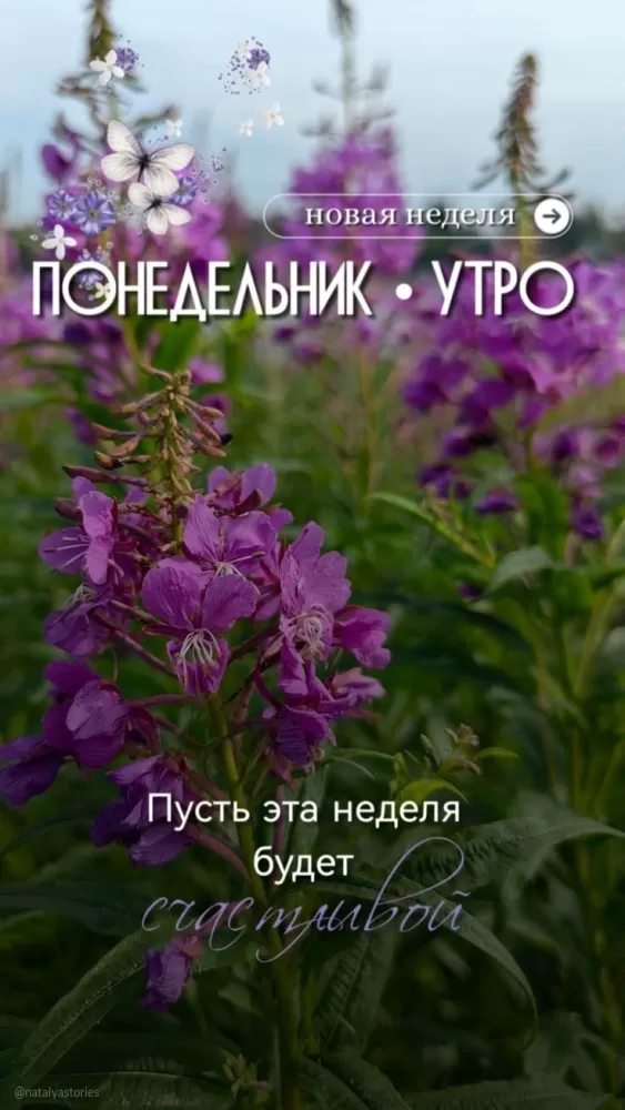 Картинки "Доброе утро понедельника". Доброе утро понедельника - картинки летние