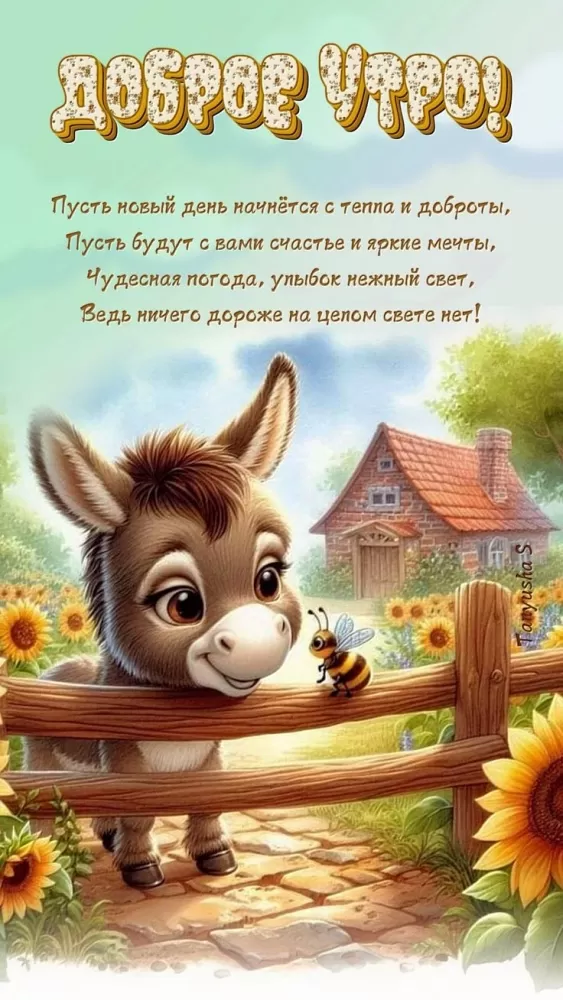 Картинки Доброе летнее утро: прикольные и позитивные. Позитивные картинки Доброе летнее утро&nbsp;