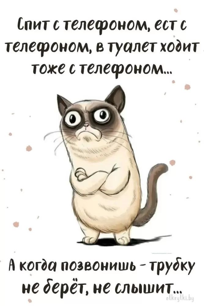 Прикольные и позитивные картинки для настроения. Прикольные и позитивные картинки