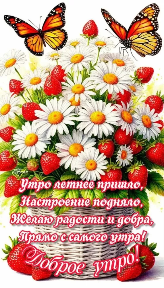 Доброе утро августа - картинки красивые и позитивные. Картинки Доброе утро августа позитивные