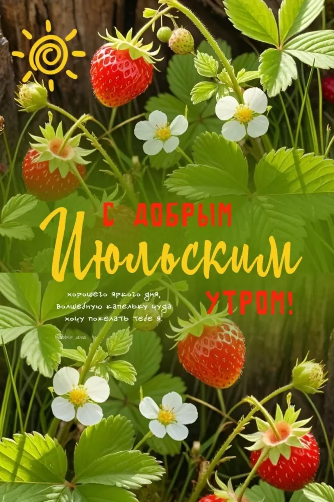 Открытки Доброе июльское утро (80 картинок). Красивые картинки Доброе июльское утро