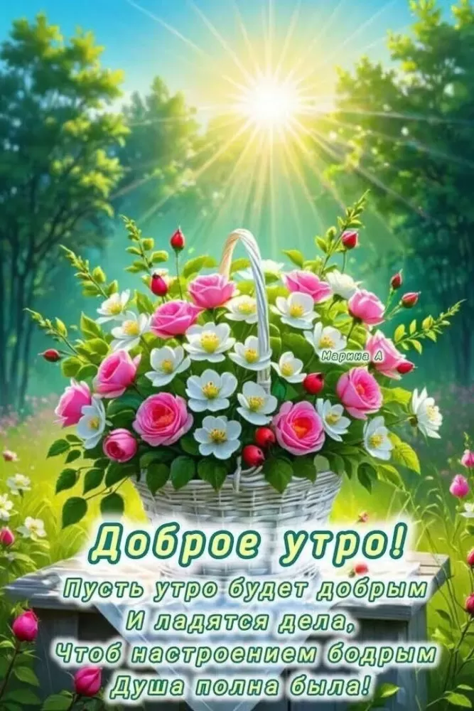 Доброе утро августа - картинки красивые и позитивные. Доброе утро августа - картинки с пожалениями