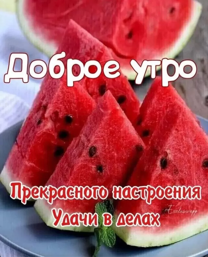 Доброе утро августа - картинки красивые и позитивные. Доброе утро августа - картинки с пожалениями