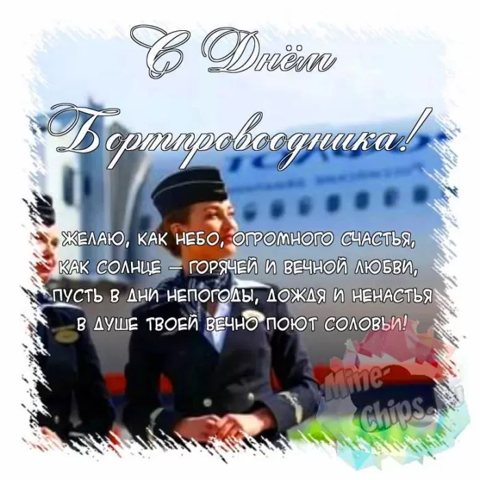 С Днем бортпроводника – красивые картинки и поздравления. Красивые картинки с Днем бортпроводника