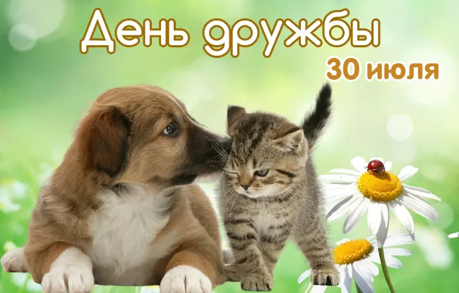 Открытки на Международный День дружбы. Прикольные картинки с Днем дружбы