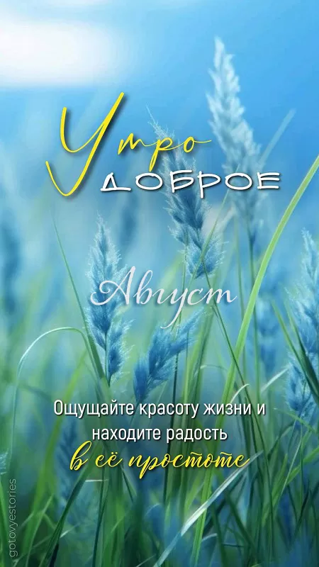 Доброе утро августа - картинки красивые и позитивные. Картинки Доброе утро августа красивые и новые