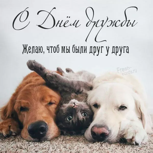 Открытки на Международный День дружбы. Красивые открытки с Межданародным Днем дружбы 2025