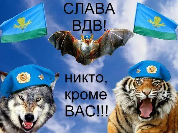Открытки с Днем ВДВ (80 картинок). Прикольные открытки с Днем ВДВ