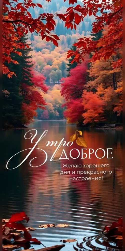 Картинки Доброго осеннего утра бесплатно. Красивые картинки Доброго осеннего утра