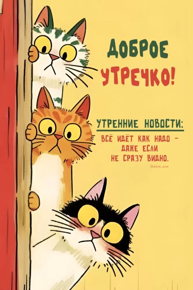 Позитивные картинки с пожеланиями Доброго утра. Картинки Доброе утро позитивные и прикольные