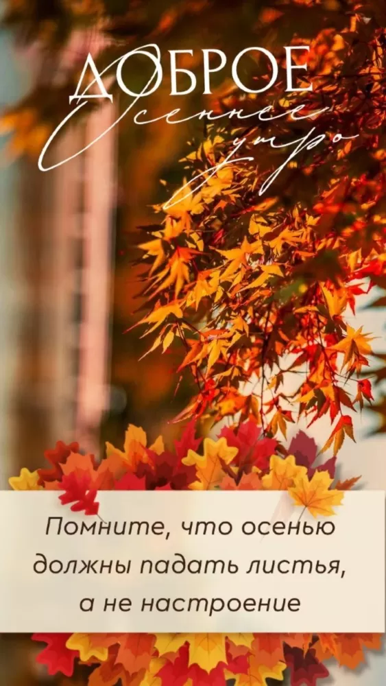 Картинки Доброго осеннего утра бесплатно. Картинки Доброго утра осеннего