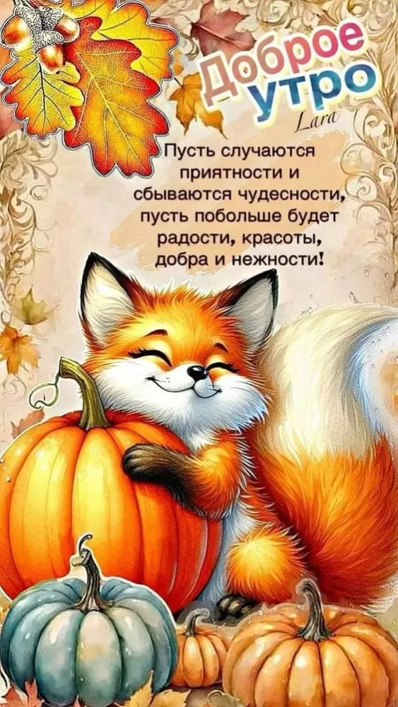 Картинки Доброго осеннего утра бесплатно. Крастинки с добрым утром красивые и позитивные