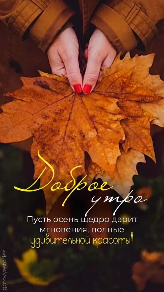 Картинки Доброго осеннего утра бесплатно. Картинки Доброго утра осеннего