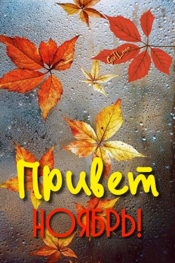 Картинки С первым днем ноября. Картинки с первым днем ноября