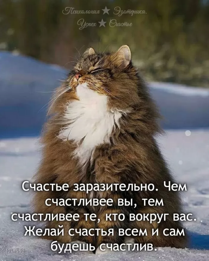 Картинки позитивные для настроения. Позитивные картинки для настроения